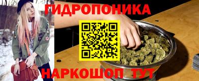 амф Гусев